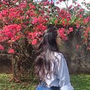 María J. Rodríguez