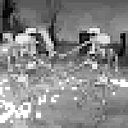 anacristina_sellhorn