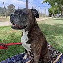 Pedrito Catalan Aguilera