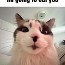 ZAVKEGSUWUWIDUWIUWDJOQUD Macri