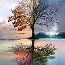 Maricel Paola Carasso