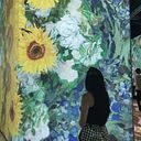 Erika Chaves Fernández