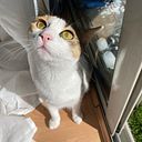 alvarezgimenez_carla