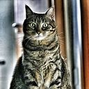 Francisco Benitez Aguilar