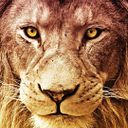 Daniel Castillo Martínez