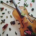 Alma Diana Zatarain Sánchez