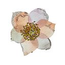 assa Tetedanslesnuages