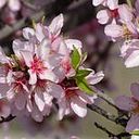 Mari Angeles Sánchez Serrano