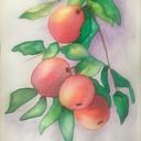 Burcu Yalcinkaya Turk