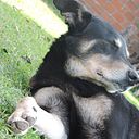 agustin_marengo_elian