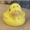 Claudia Natalí Dominguez