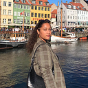 Danehirys Dominguez Castillo