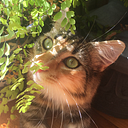 isabellechloegp
