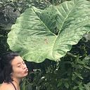 Patricia Kobori