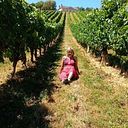 María Dolores Avilés Juárez