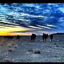 Nomin-Erdene Uuganbayar