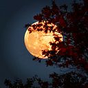 Renata Córdova Muñoz