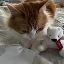 Deki