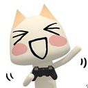 gato miau