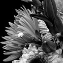 Tayría Tenesara González Pacheco