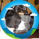 Agnes Crealea Lemaire