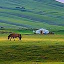 Зулсар Баярсайхан