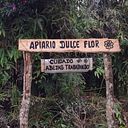 Flor García victoria