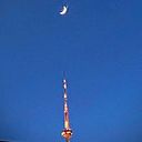 ნინი გვენცაძე