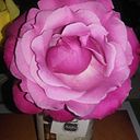 Natividad López Reina