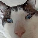 Rafael Antony Melendez