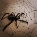 João Victor Oliveira Silva