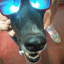 Jose Manuel Fandiño Bendaña