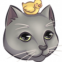 Andrea Acuña Poblete