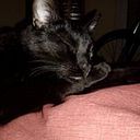 Lara Dominguez Cardoso