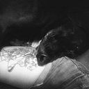 Mariadelasestrellas Rec