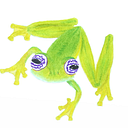 Sebastian Perez-Rojas