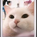 Alvaro Benjamin Saenz Molina