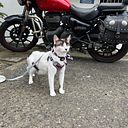 Alejandro Ocampo Uribe