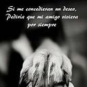 Rafael Bolivar Pinos Cabrera