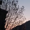 Alexandra Luisa Calderon Gutierrez