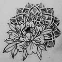 Ana Carolina Ferreira