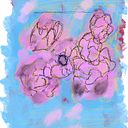 s_j_breier