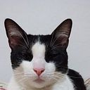 Mariela Lucrecia Bejo