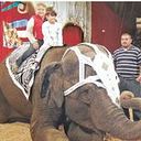 Maria Lamarque Bastidas