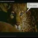 Eduardo Patricio Mena Arenas