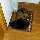 Conchi Martínez Sierra