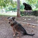 Juan Azcarate Cardoso