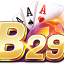 B29