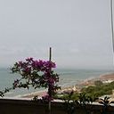 Silvana Tore Giuliani