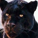 Javier Morante Danessi